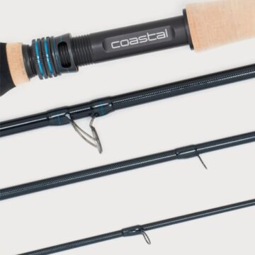 lpxcoastal b