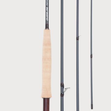 nt11trout