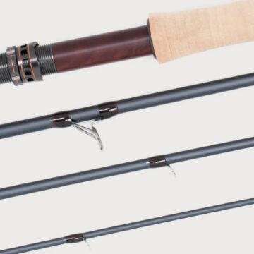 nt11trout c